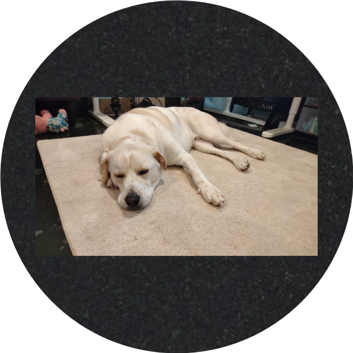Custom Mood Mats